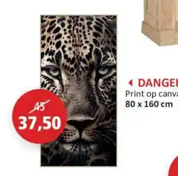 Weba Print op canvas aanbieding