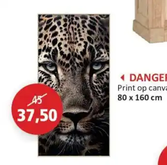 Print op canvas