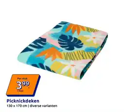 Action Picknickdeken aanbieding