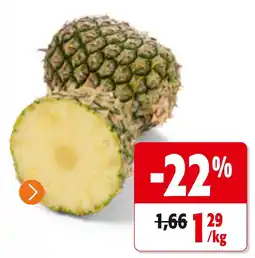 Colruyt ananas aanbieding
