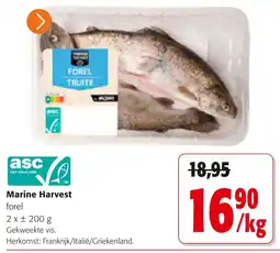 Colruyt marine harvest forel aanbieding
