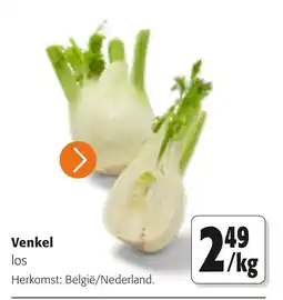 Colruyt Venkel aanbieding