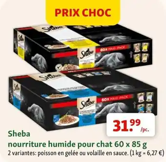Sheba nourriture humide pour chat