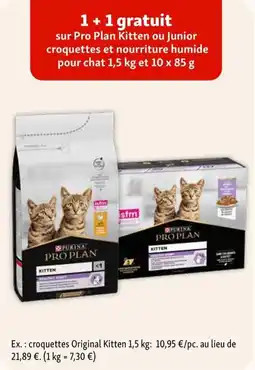 Maxi Zoo pro plan kitten aanbieding