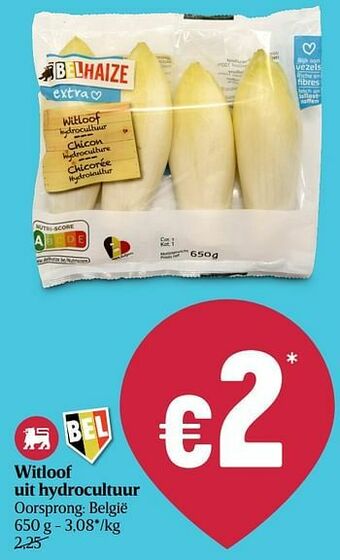 Delhaize Witloof uit hydrocultuur aanbieding