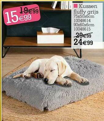 Yess Kussen aanbieding