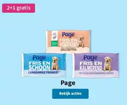 Plein.nl Page aanbieding