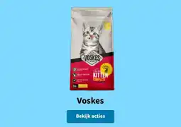 Plein.nl Voskes kitten complete aanbieding