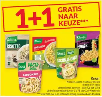 Knorr