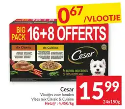 Intermarché Cesar Vlootjes voor Honden aanbieding