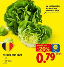 Lidl Kropsla met kluit aanbieding