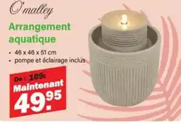 Van Cranenbroek Arrangement aquatique aanbieding