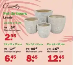 Van Cranenbroek Pot de fleurs Levate aanbieding