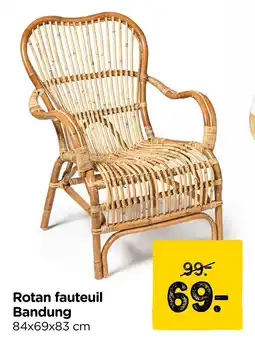Xenos Rotan fauteuil Bandung aanbieding