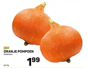Oranje Pompoen Nederland Demeter