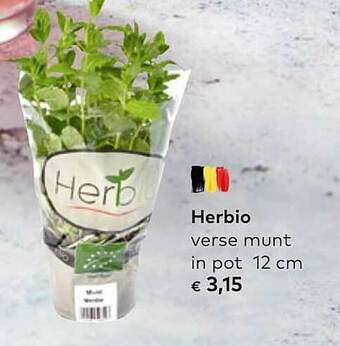 Bio Planet Herbio Verse Munt In Pot aanbieding