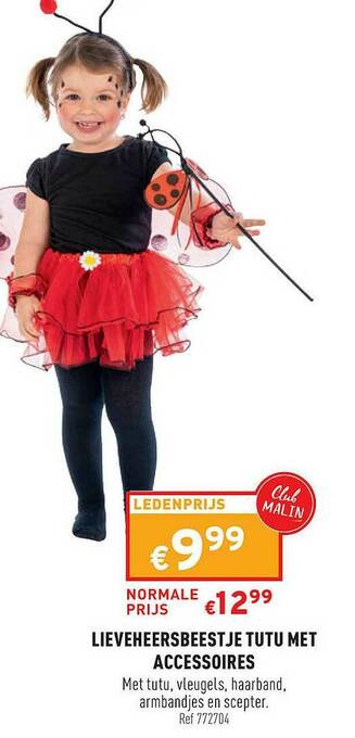 Trafic Lieveheersbeestje Tutu Met Accessoires aanbieding