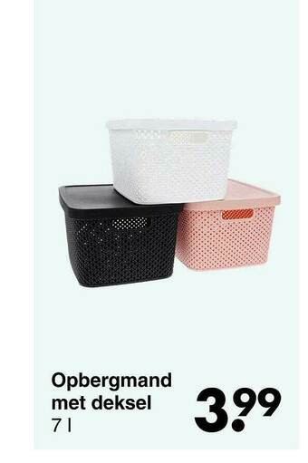 Wibra Opbergmand Met Deksel aanbieding
