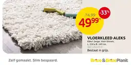 Brico Vloerkleed aleks aanbieding