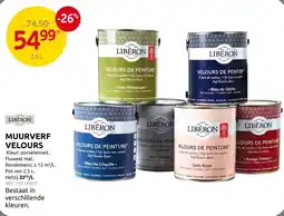 Brico Muurverf velours aanbieding