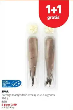 Spar harengs maatjes frais avec queue & oignons aanbieding