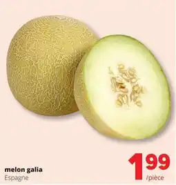 Spar melon galia aanbieding