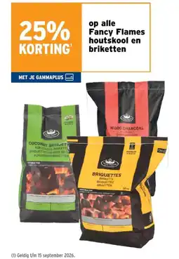 GAMMA Fancy Flames houtskool en briketten aanbieding