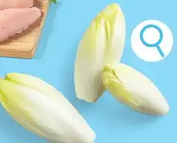 ALDI Witloof XXL aanbieding
