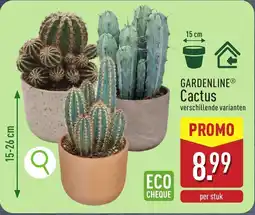 ALDI Gardenline Cactus aanbieding