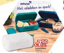 Dreamland Lunchbox aanbieding