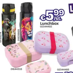 Dreamland Lunchbox aanbieding