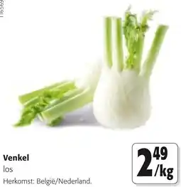 Colruyt Venkel aanbieding