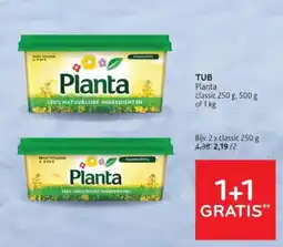 Alvo Tub planta aanbieding