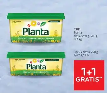 Tub planta
