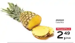 Alvo Ananas aanbieding