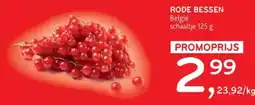Alvo Rode bessen aanbieding