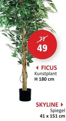 Weba Ficus kunstplant aanbieding