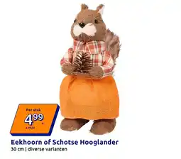 Action Eekhoorn of Schotse Hooglander aanbieding
