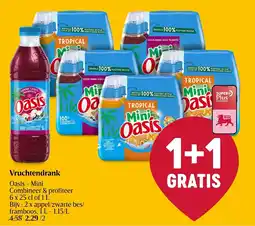 Delhaize Vruchtendrank Oasis Mini aanbieding