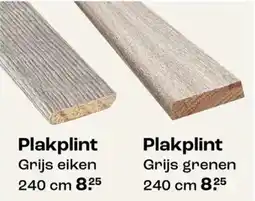 Kwantum Plakplint aanbieding