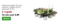 Intratuin Najaarsvreugde aanbieding