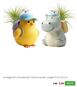 Intratuin Arrangement schooldiertjes aanbieding