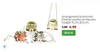 Arrangement schommel