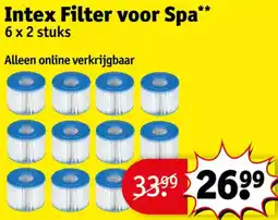Kruidvat Intex filter voor spa aanbieding