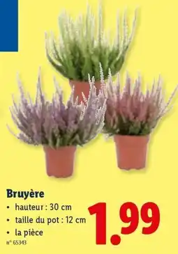 Lidl Bruyère aanbieding