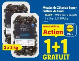 Lidl Moules de Zélande Super culture de fond aanbieding