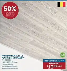 Zelfbouwmarkt Panneau mural et de plafond normandy aanbieding