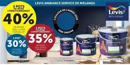 Zelfbouwmarkt Levis Ambiance mur mix aanbieding