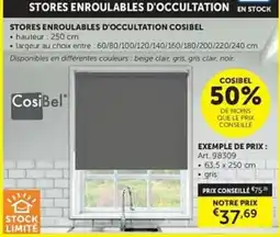 Zelfbouwmarkt Stores enroulables d'occultation cosibel aanbieding