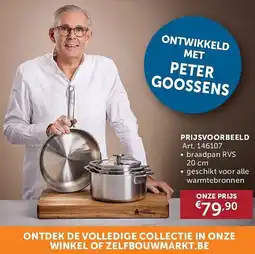 Zelfbouwmarkt braadpan rvs aanbieding